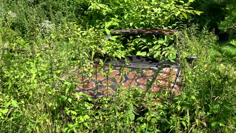 Close-up-shot-of-an-old-rusty-car-in-a-field,-overgrown-with-lots-of-plants