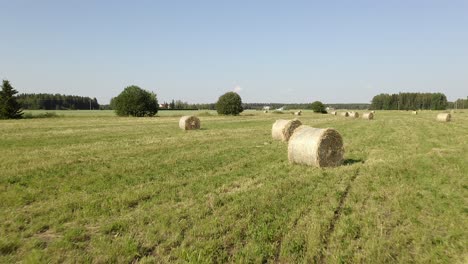 Tiefflug-In-Der-Nähe-Runder-Heuballen-Auf-Einer-Großen-Grünen-Wiese-Mit-Blauem-Himmel-Und-Bäumen-Im-Hintergrund