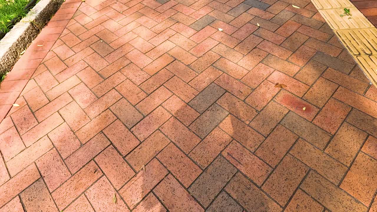 sombras arrojadas en una pasarela de ladrillo en el parque