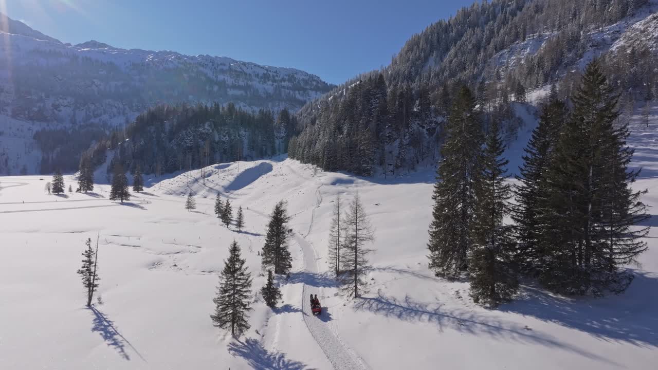 Vista aerea di una slitta trainata da cavalli attraverso i campi innevati austriaci