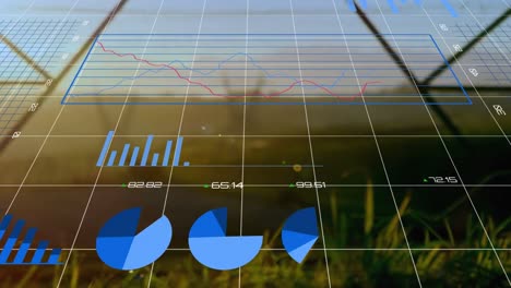 Animación-Del-Procesamiento-De-Datos-Financieros-Sobre-Pilones.