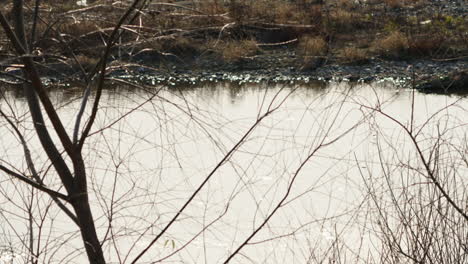 Slow-Rack-Focus-Shot-Of-Futakotama-River-In-Tokyo,-Japan---static,-high-angle-shot