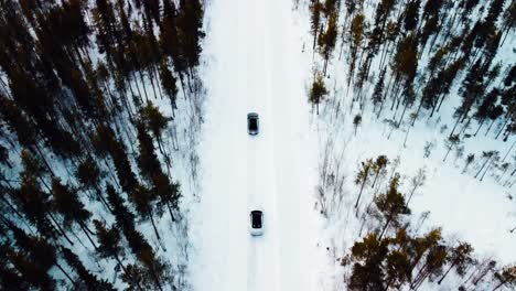 two modern cars are driving on a snow-covered road in the forest of the arctic circle with landscape view at the end