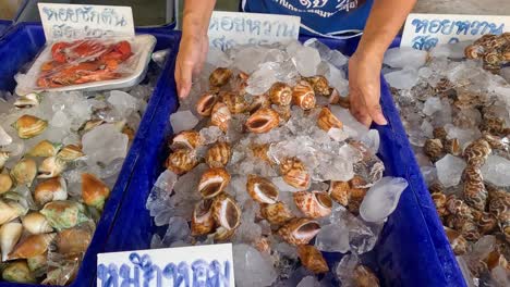 hands sorting through shellfish on ice at market