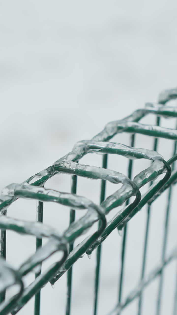 primer plano de una valla metálica verde cubierta de hielo, que muestra hielos colgando de los cables contra un fondo borroso y nevado del parque, enfatizando el marcado contraste entre las texturas congeladas