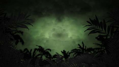 palms trees in jungle in dark night