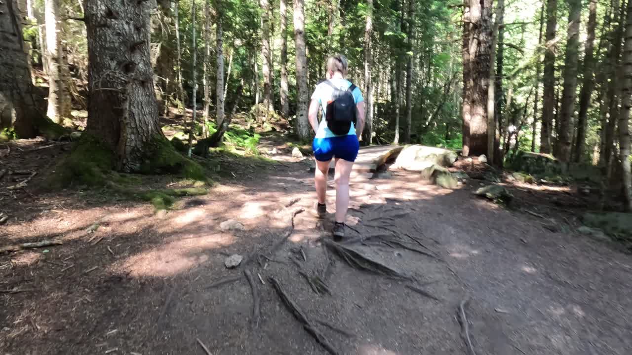 Woman hiking on a trail in the forest