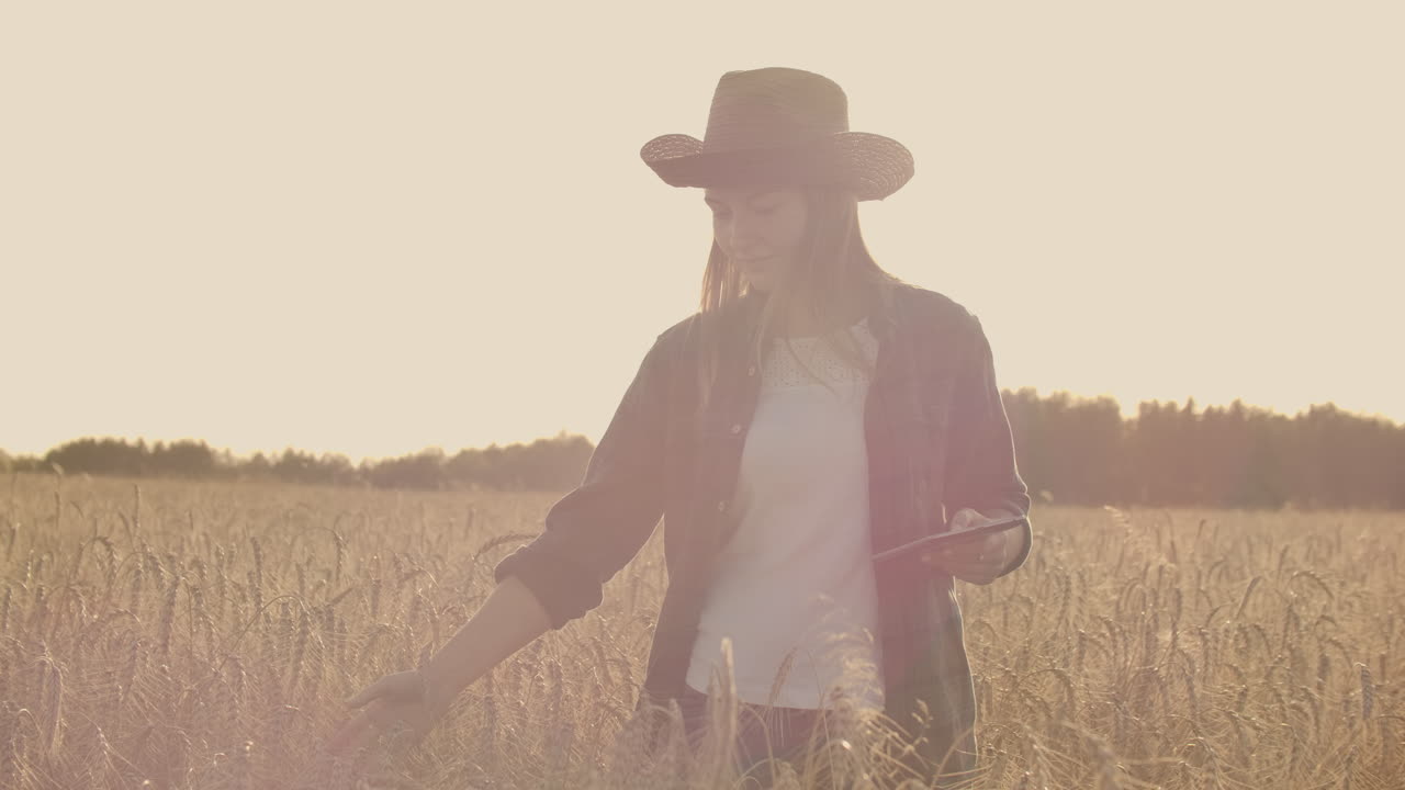 una niña granjera con una computadora tablet en sus manos examina las orejas de centeno y introduce datos en la computadora tablet