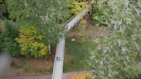 bad wildbad, germany - view from above on the tree top walk in bad wildbad in the black forest