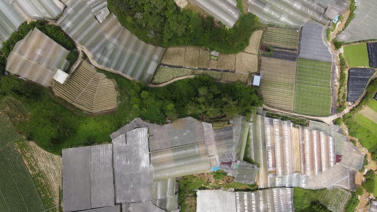 말레이시아의 카메론 하이랜드 지역 내의 브린창 지역의 일반 풍경