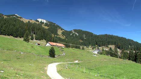 Mountain-pasture-with-cows-in-the-Bavarian-Alps-near-Sudelfeld,-Germany-11