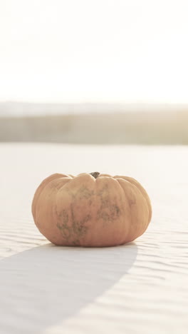 closeup of a pumpkin on a white surface with a blurry background