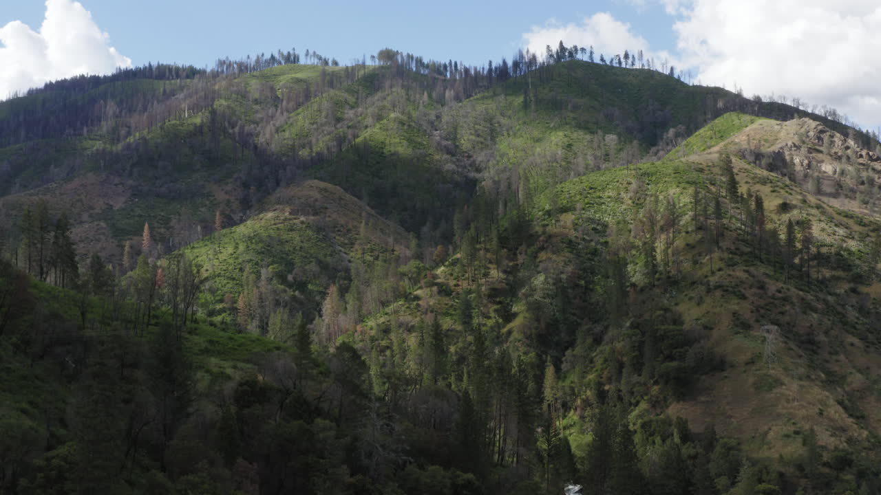 Slow drone zoom in view to a tree-covered mountain landscape in Plumas National Forest, California, USA.
