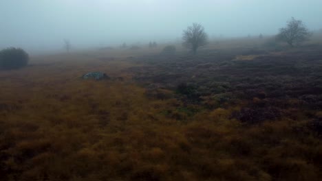 Niebla-Espesa-Sobre-El-Paisaje-De-La-Pradera,-Vista-Lateral-Del-Vuelo-De-Drones-Aéreos