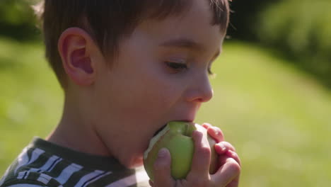 cute little boy eating a freshly picked apple at the orchard