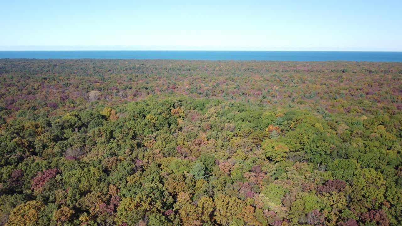 Establishing Shot: Pinery Ontario Canada — Sand Dune Ridge and Forest Canopy from Drone