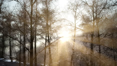 beautiful winter landscape in the mountains