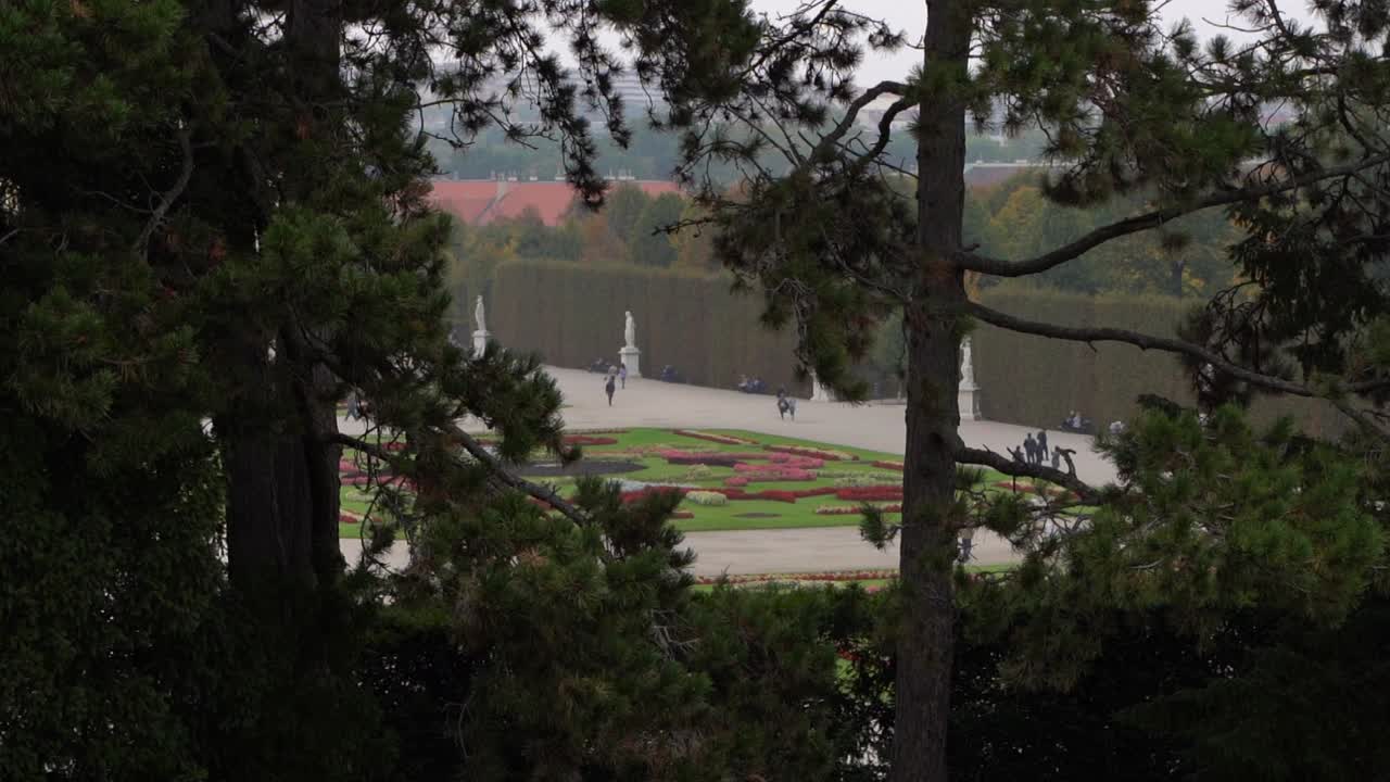 vista increíble desde detrás de los árboles que dominan el jardín de flores de schönbrunn, austria - cámara lenta estable