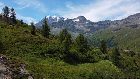 vuelo ascendente sobre colinas verdes con árboles y cordillera nevada de suiza en segundo plano en verano