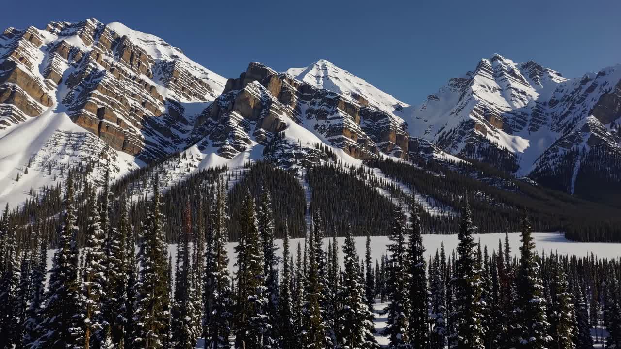 Aerial video capturing snow-covered mountains and dense pine forests under a clear blue sky