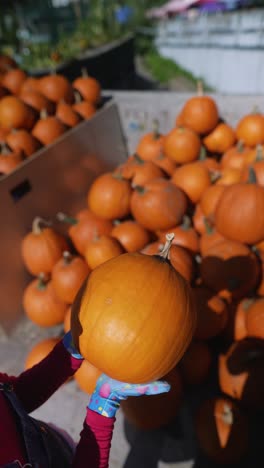 woman holding a pumpkin at a farm