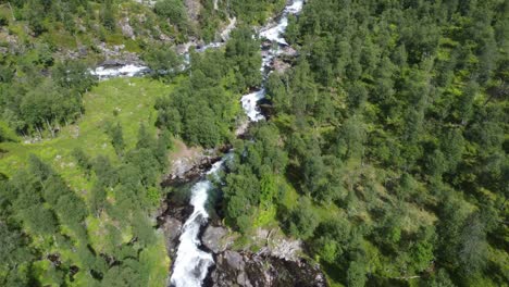 Die-Kamera-Fährt-Durch-Den-Wald-Und-Zeigt-Eine-Kleine-Brücke,-Die-Den-Fluss-überquert