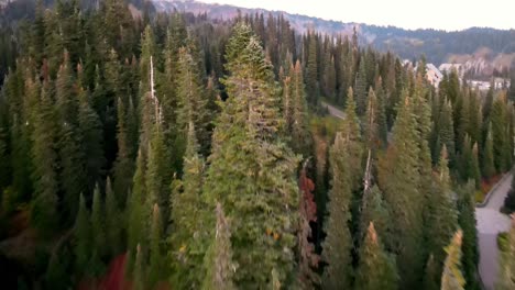 a drone shot of an empty trail toward mt rainier cuts along cliff edge in the morning time