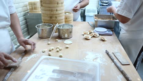 chefs preparing delicious handmade dumplings in a restaurant kitchen