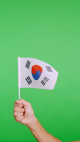 hand lifting a south korean pennant while waving by the wind