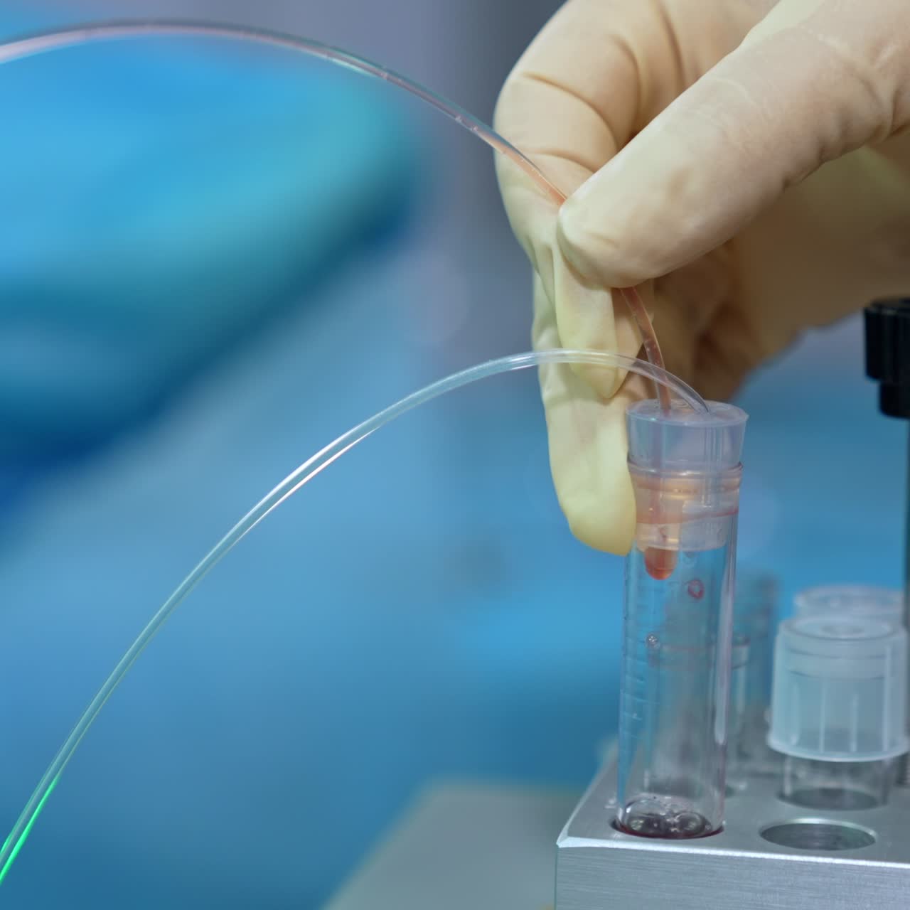 Gloved hand holding a tube connected to the test tube. Liquid is flowing through the tube filling the reservoir. Close up. Blurred backdrop