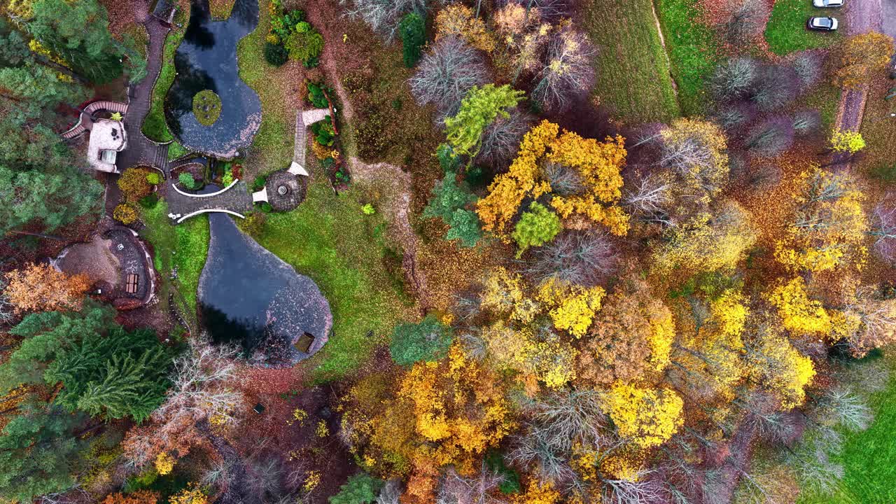 Aerial of autumn forest near Cesis Latvia with colorful trees and rural landscape, drone top down descend to park