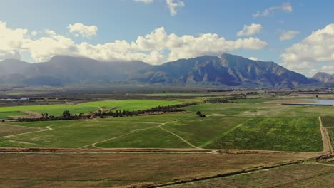 Drones-Volando-Lentamente-Mostrando-Exuberantes-Viñedos-Verdes-Con-Una-Gran-Cadena-Montañosa-En-La-Distancia