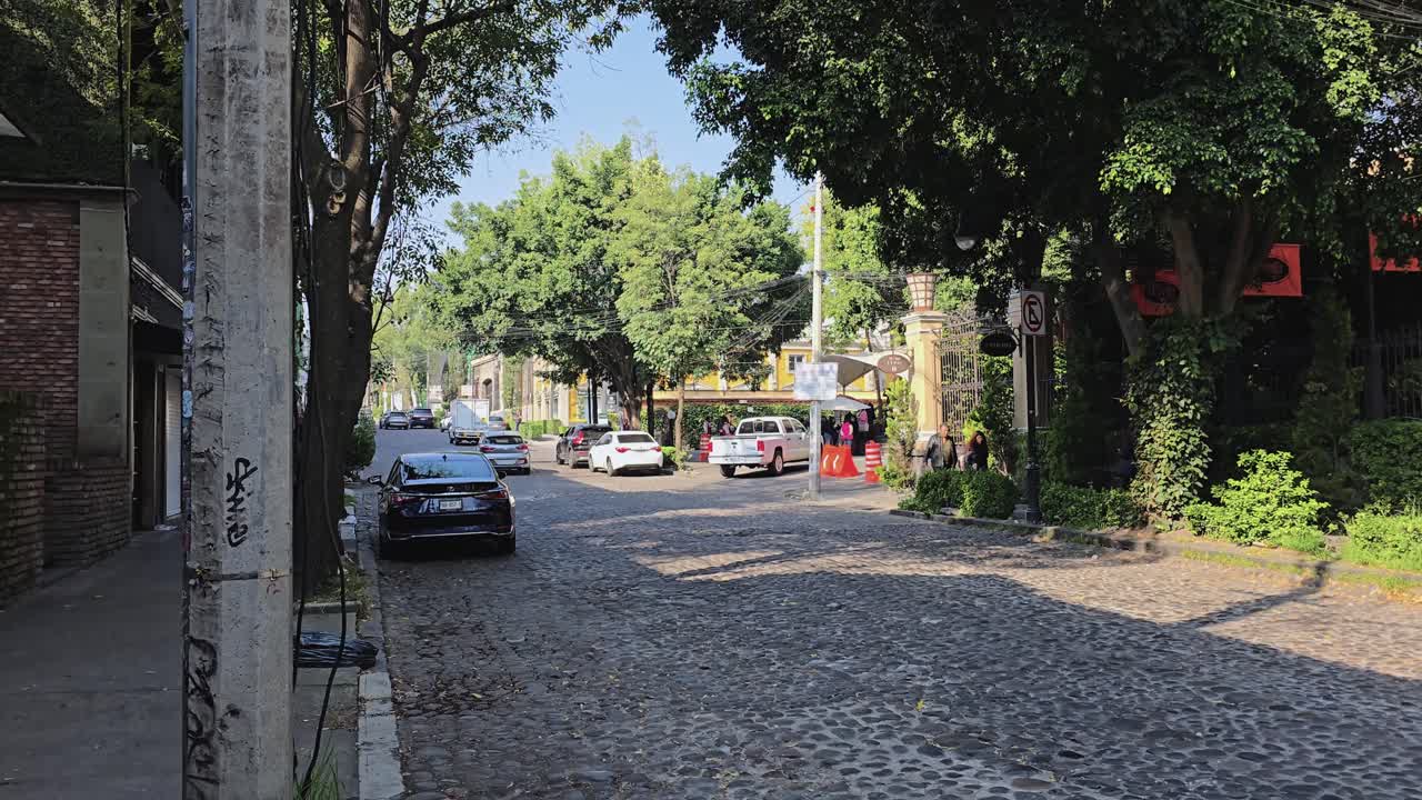 Cobbled streets shaded by trees insouthern part of CDMX, specifically in San Angel neighborhood