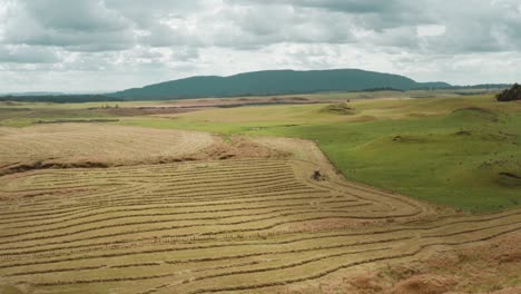 Schwadlinien-In-Ländlichen-Gebieten,-Trocknungsprozess-Von-Gras-Für-Tierfutter,-Luftaufnahmen