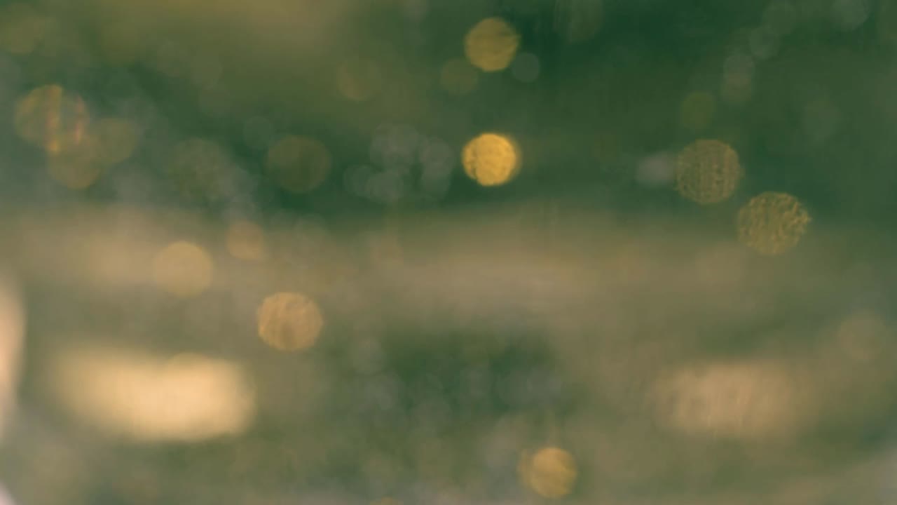 Abstract golden lights bokeh floating on green background