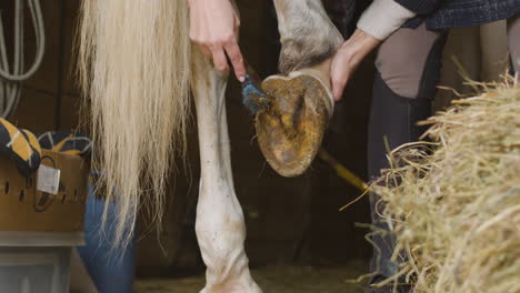 close-up van persoon in zwarte en bruine laarzen die paard voorbereiden en zijn hoefijzer schoonmaken