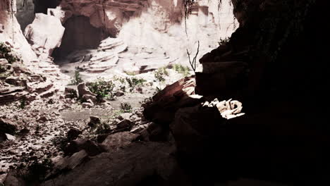 vista desde la cueva a la luz