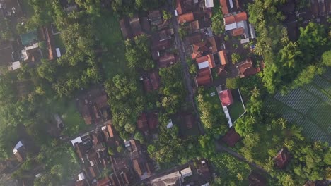 Toma-Aérea-De-Arriba-Hacia-Abajo-Del-Campo-Con-Plantaciones-Y-Un-Pequeño-Pueblo-En-Indonesia-Durante-La-Mañana-Soleada-Y-Nublada