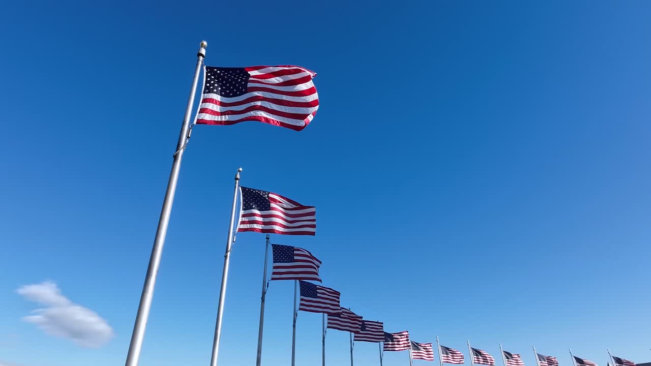 A lot of American Flags waving in the wind with a clear sky in the background