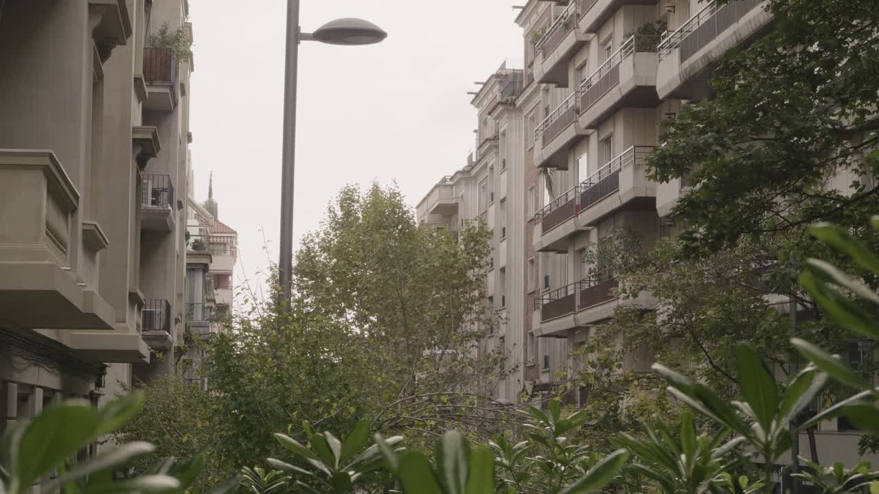 A view of a strange street of a society over the shrubs and plant.