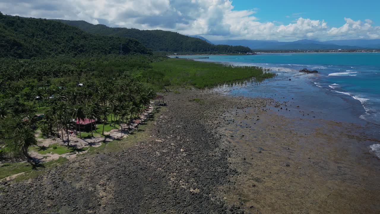 A stunning drone shot captures the shore lined with tall palm trees, their leaves swaying gently in the breeze.