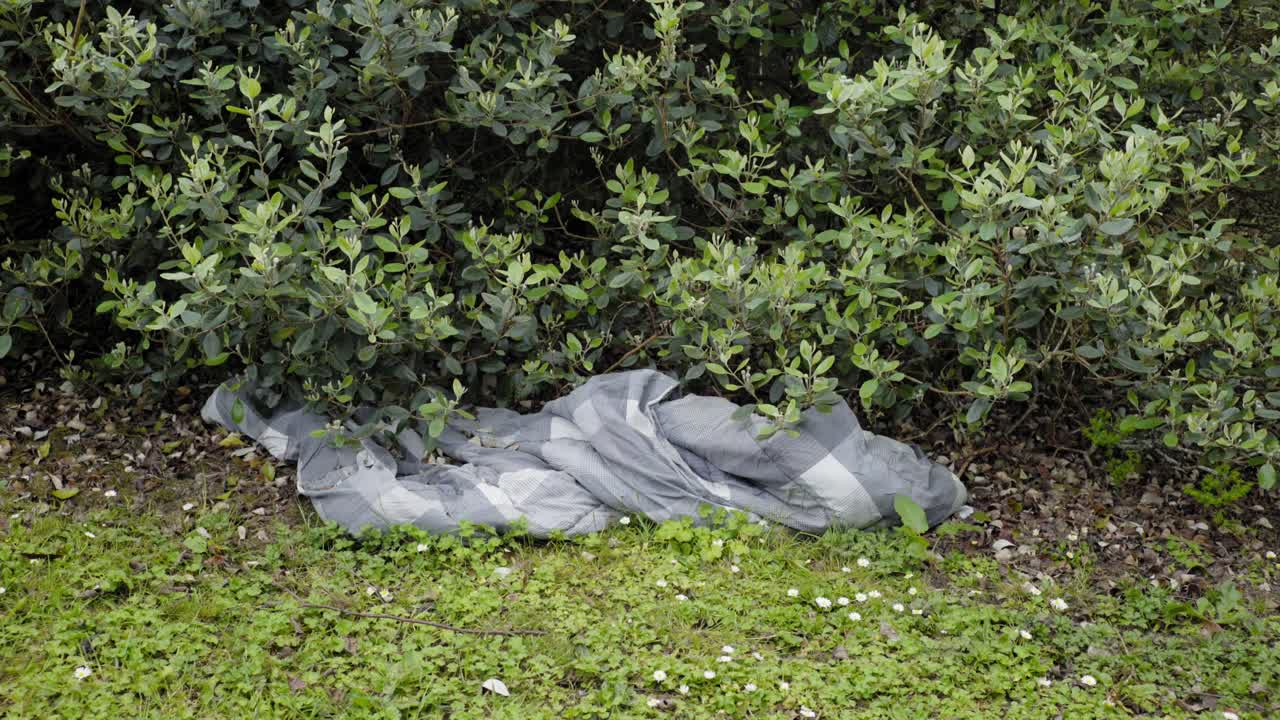 옷걸이에서 떨어진 것처럼 숲 한가운데 이불