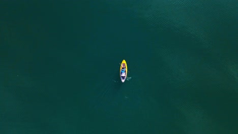 impresionantes imágenes aéreas de drones en 4k de un kayakista remando a través de un lago tranquilo