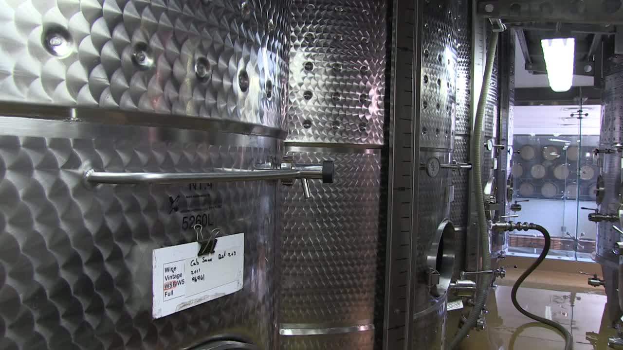 Fermentation in white wine cellar