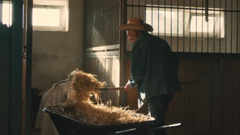 farmer feeding hay to horses in a stable