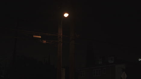 close-up video of a streetlight or lamplight illuminating the street of los angeles at night