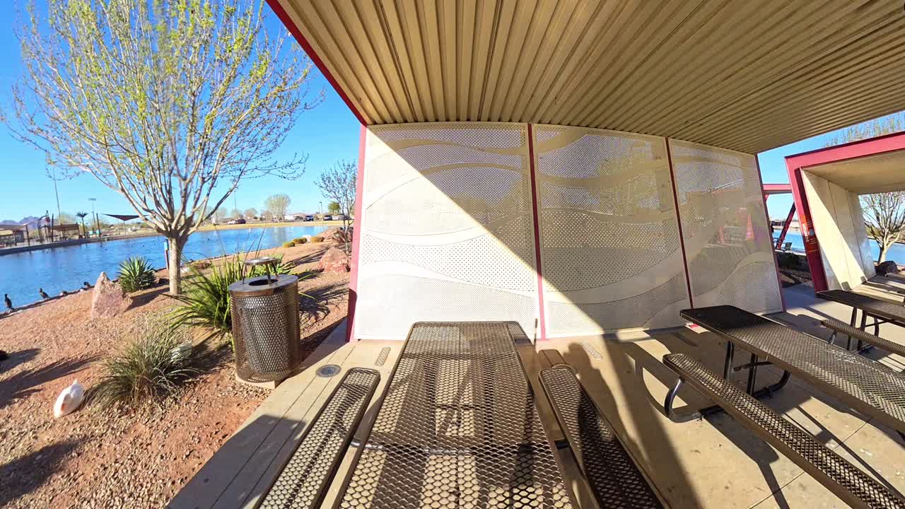 Red haired male admiring cormorant and Ducks at Mansel Crater Park in Queen Creek Arizona.