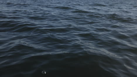 Slow-motion-of-moody-waves-in-Puget-Sound