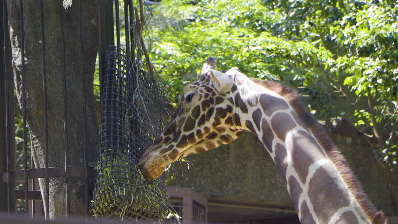 도쿄 최고의 전망