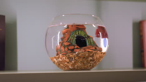 red fish glides through water inside round glass jar with decorative eye-shaped sculpture and gravel bottom, placed on indoor shelf next to partially visible red book in softly lit setting